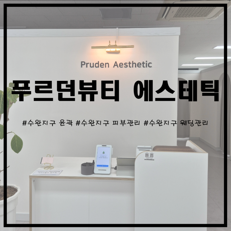 사진 8