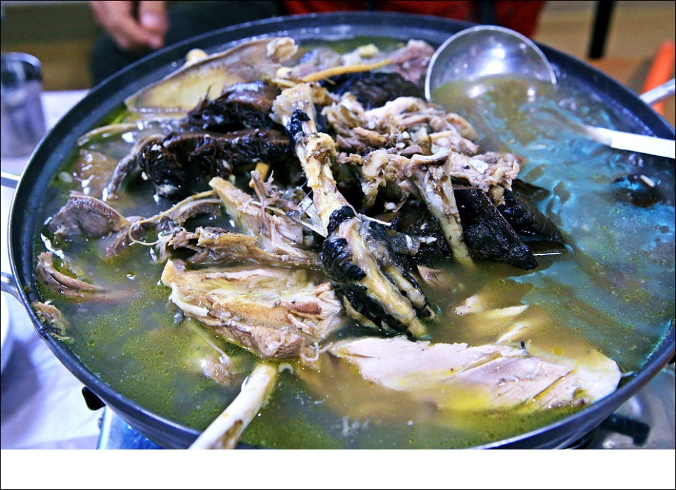둥구나무가든 사진 3