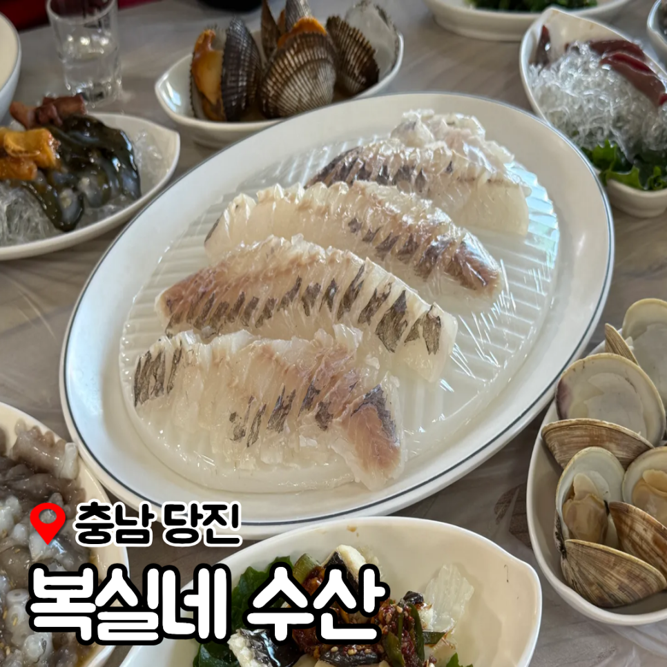 복실네 사진 1