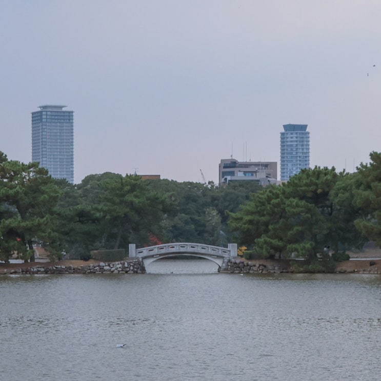  후쿠오카 오호리 공원, 산책과 사색을 즐긴다면 후쿠오카 여행 때 가볼 만한 곳