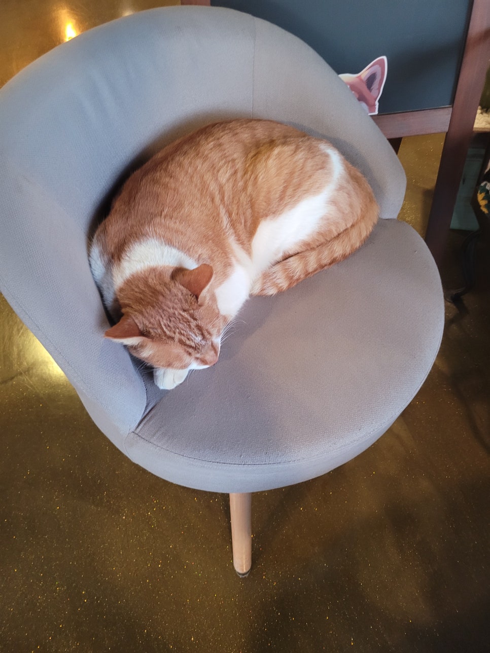 cafe 봉자 사진 6