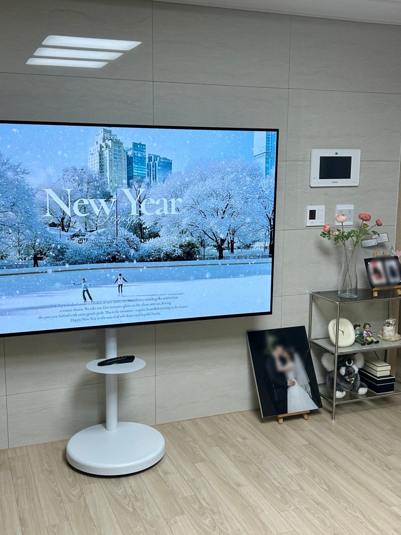 이동식 티비 거치대 엣지월 삼성 엘지 호환 77인치 EdgeO tv 무빙스탠드 내돈내산