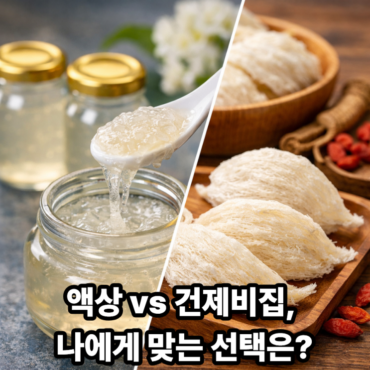   액상 제비집 vs 건제비집 차이 한눈에 보기｜쉽고 빠른 비교 가이드