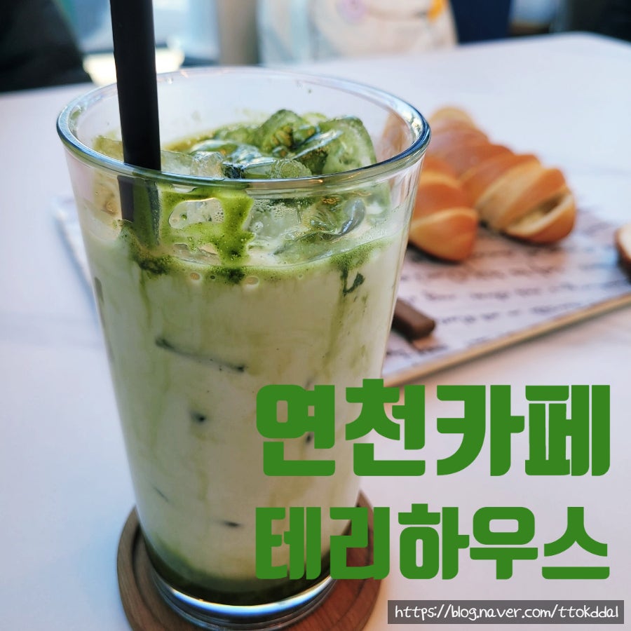 테리하우스 사진 1