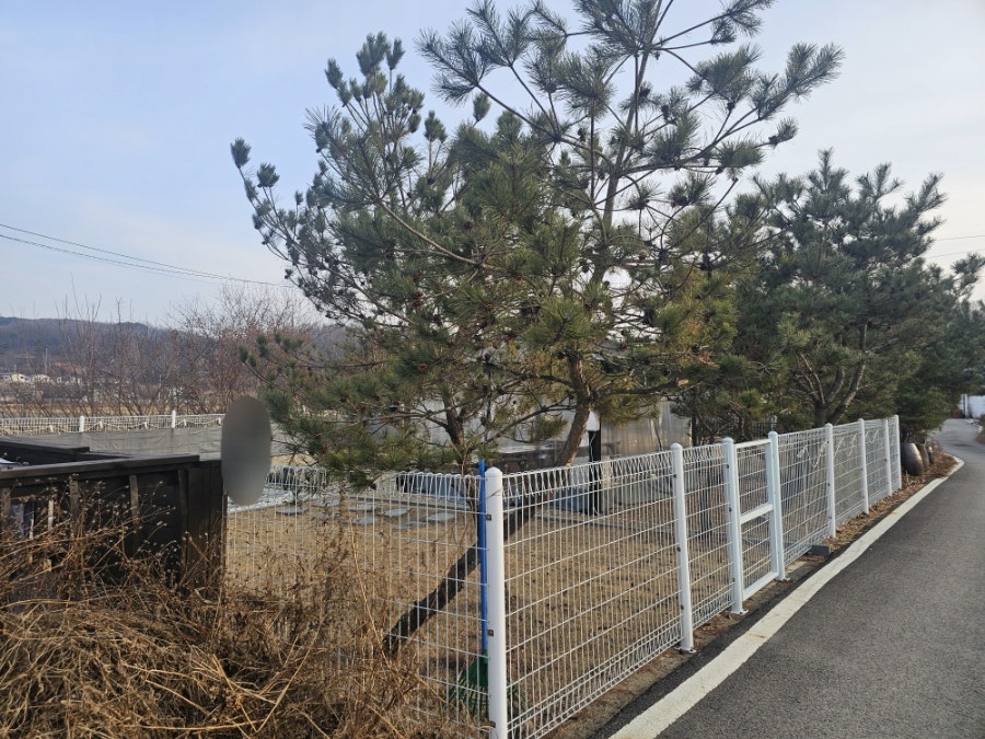 캠린스테이 사진 5