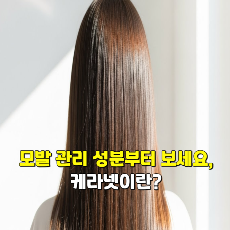  요즘 많은 분들이 관심 갖는 모발 관리, '케라넷' 기능성부터 확인해보세요.