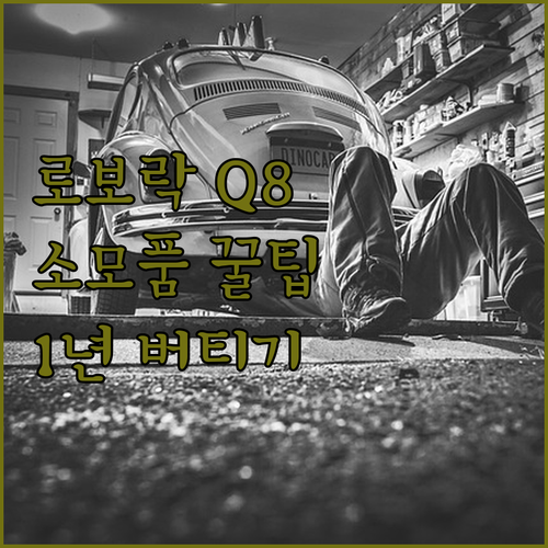 로보락 Q8 Max Pro Plus 소모품 호환 패키지 1년 사용 후기 및 교체 방법 분석