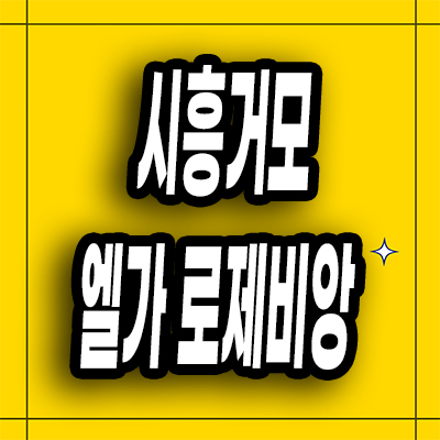  시흥거모지구 미분양아파트 거모동 엘가 로제비앙 분양가 공급