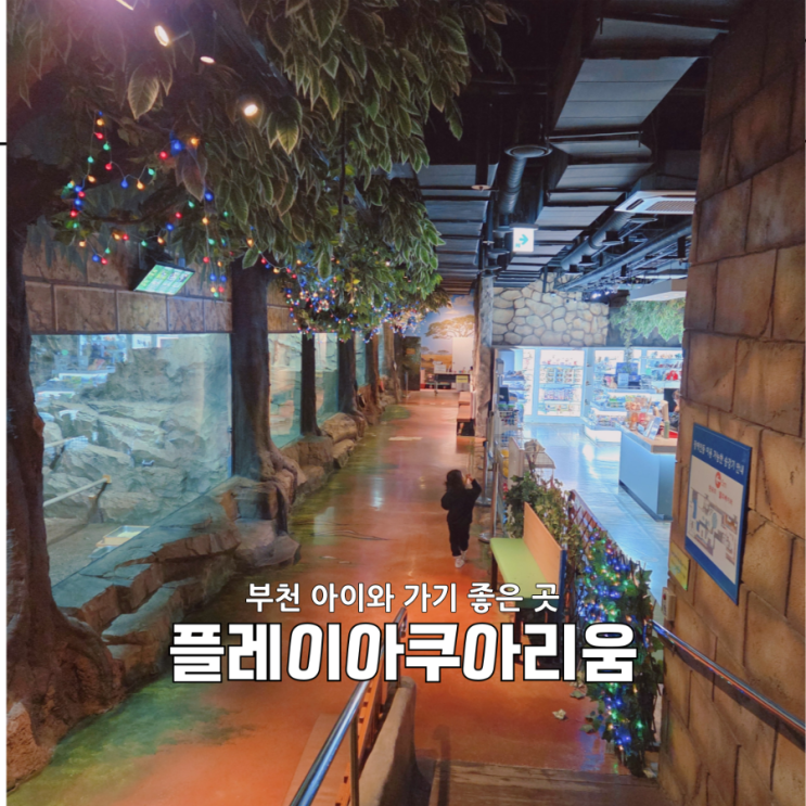 부천 아이와 가볼 만한 곳｜플레이 아쿠아리움 연간회원 솔직후기