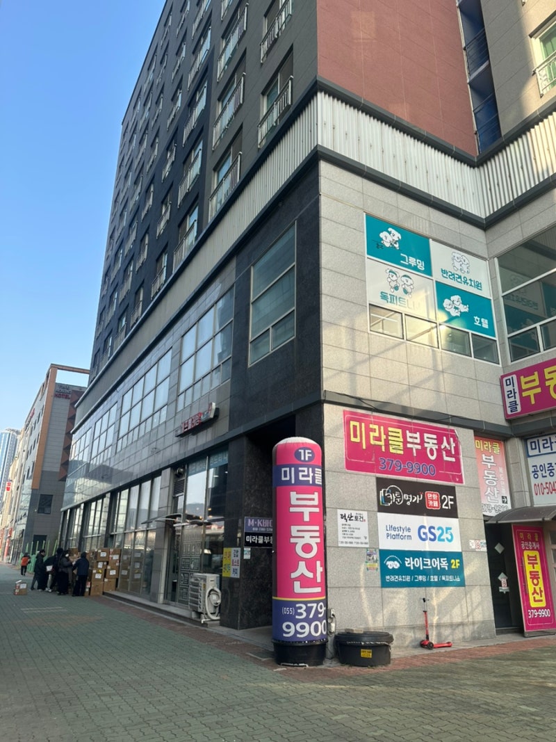 사진 6