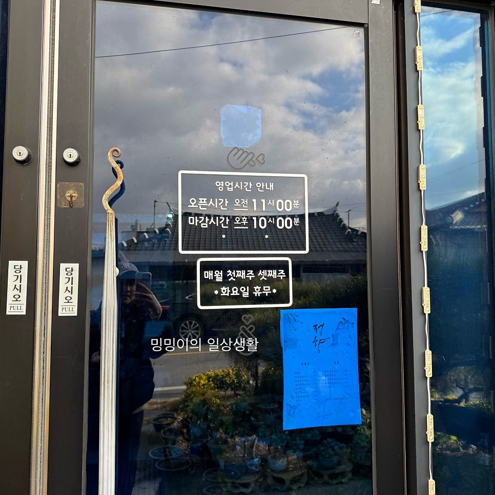 정향 사진 2