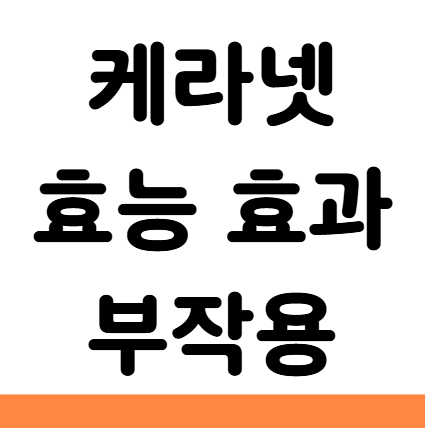  케라넷 효능 효과 부작용 먹는법 섭취 주의