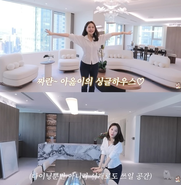 아옳이 집 어디로 이사했나, 삼성동 아이파크 55평 66억 매입, 위치,가격 관심 집중 총정리