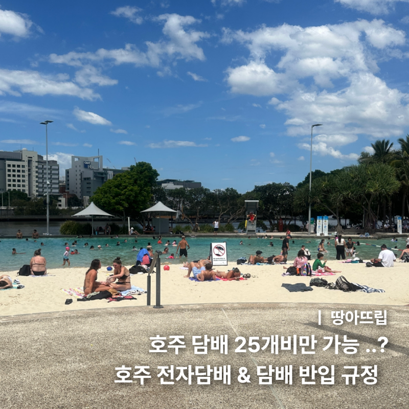 호주 전자담배 & 담배 반입 규정 ㅣ 면세 범위와 위반 시 벌금 안내