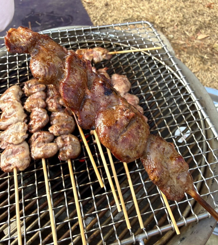  겨울캠핑 메뉴 추천 닭꼬치와 어묵꼬치