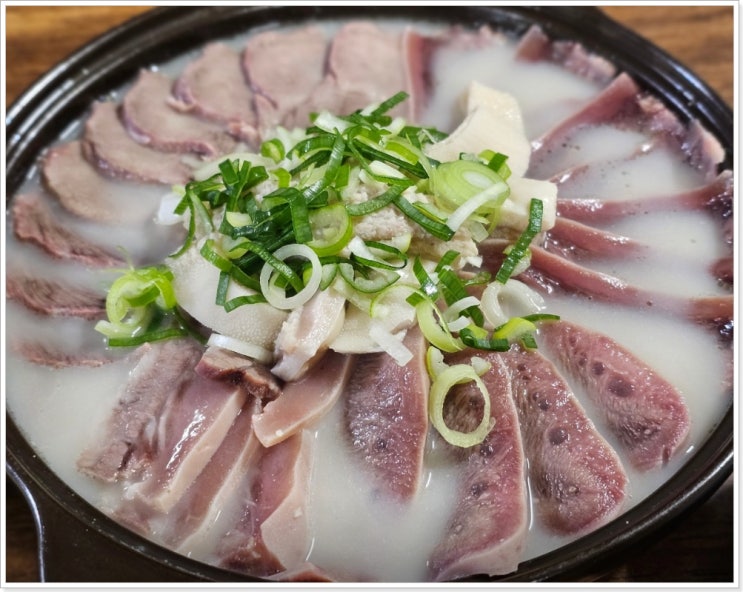  전현무계획 양수백 부산 양곰탕 식당 곰탕집 위치 45년 전통 양수육