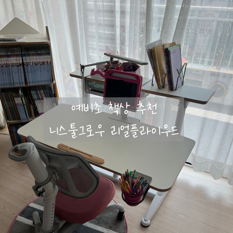 예비초 책상 [ 니스툴그로우 리얼플라이우드 ] 구매 후기