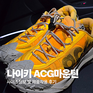 나이키 ACG 마운틴 플라이 2 로우 2년 실착 후기 및 사이즈정보 (등산화 및 트레킹화)