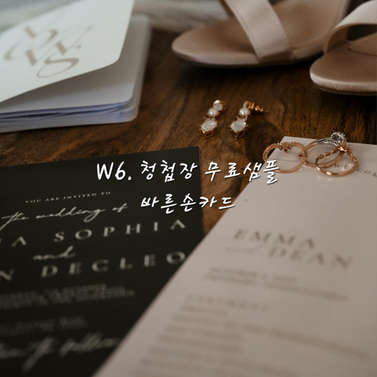 W6. 청첩장 샘플 확인바른손카드