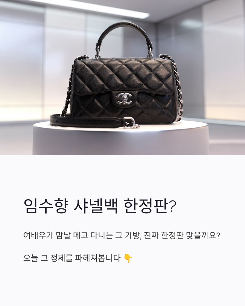 임수향 샤넬백 한정판? 요즘 난리 난 그 가방 정체 파헤쳐봄