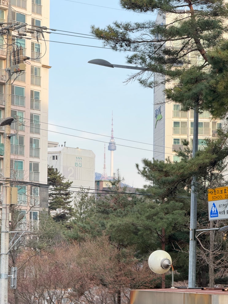  도화현대1차 임장기 | 입지에 반하고 언덕에 놀란 날