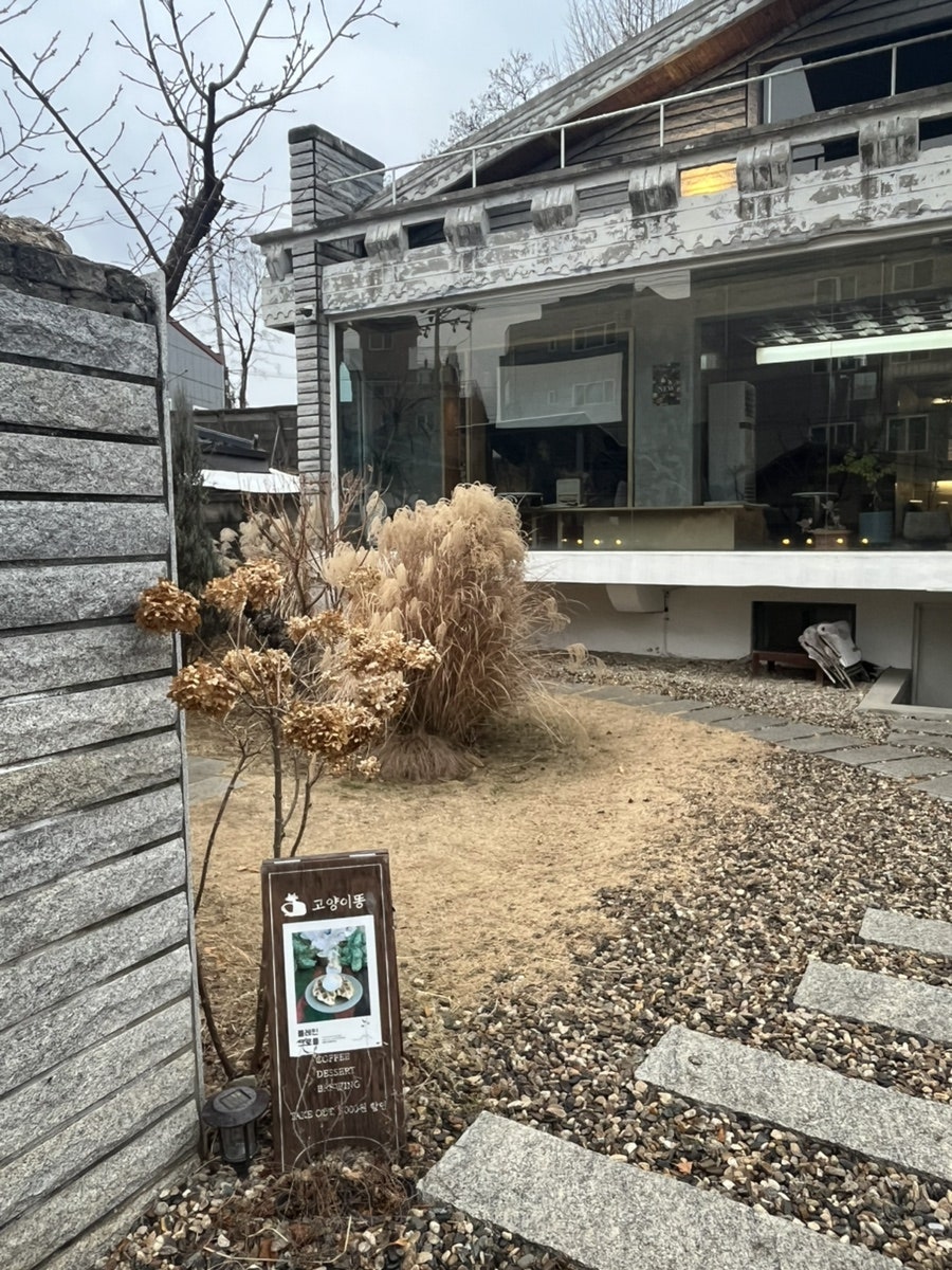 고양이똥4 사진 2