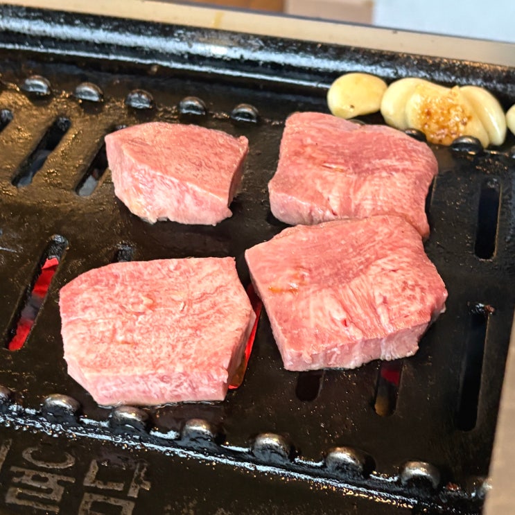  [전주 고사동] 객사 반려동물동반 분위기 좋은 특수부위 맛집 해율담