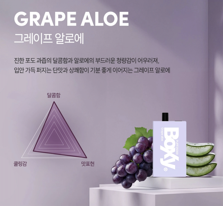  박시 BOXY 25000 1회용 전자담배 6가지 맛 완벽 분석