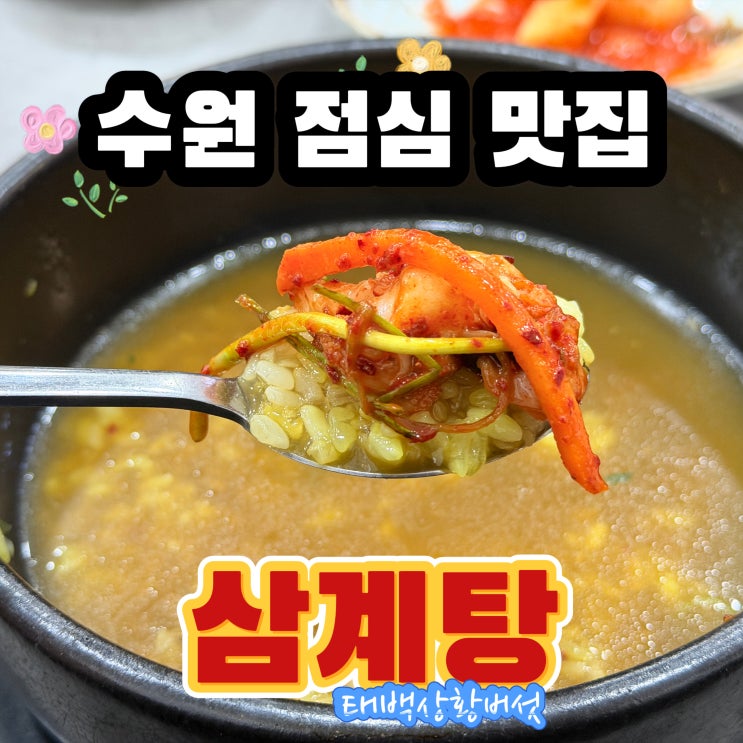  수원 점심 맛집 태백상황버섯삼계탕 뜨끈한 국물 몸보신 솔직 후기