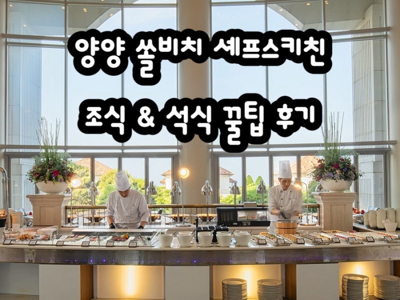 양양 쏠비치 셰프스키친 석식·조식 뷔페 솔직후기｜예약 꿀팁, 이용금액, 메뉴, 꿀팁 총정리