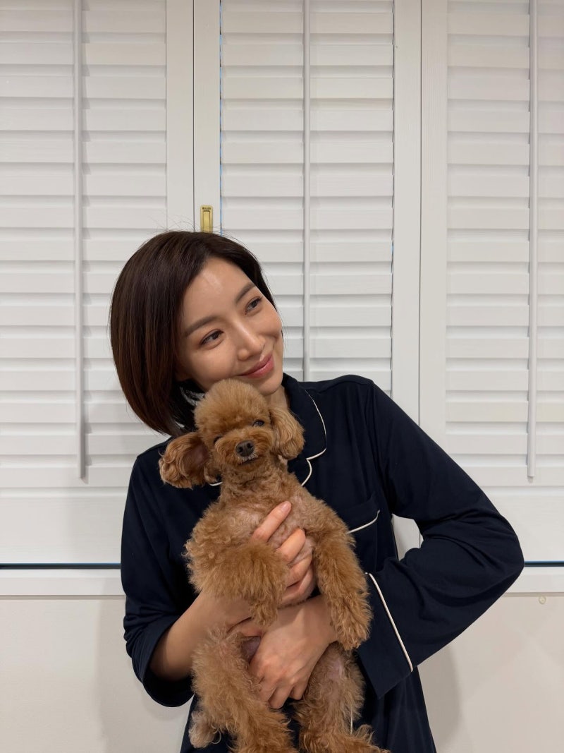 윤세아 프로필 나이 키 고향 학력 필모그래피 SKY 캐슬의 빛승혜에서 로코 여신으로