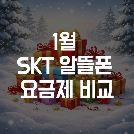 1월 SKT 알뜰폰 요금제 비교｜KT 소액결제 피해 이후 대안은?