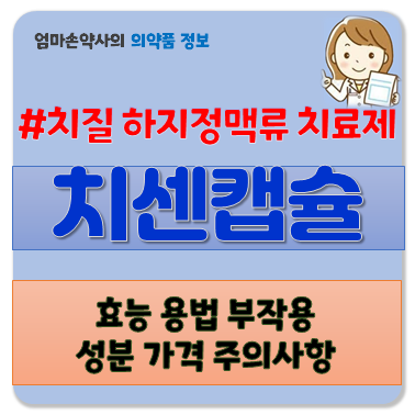 치센 치센캡슐 치질 정맥류 혈액순환 다리통증 다리중압감 효능 부작용 용법 주의사항 가격