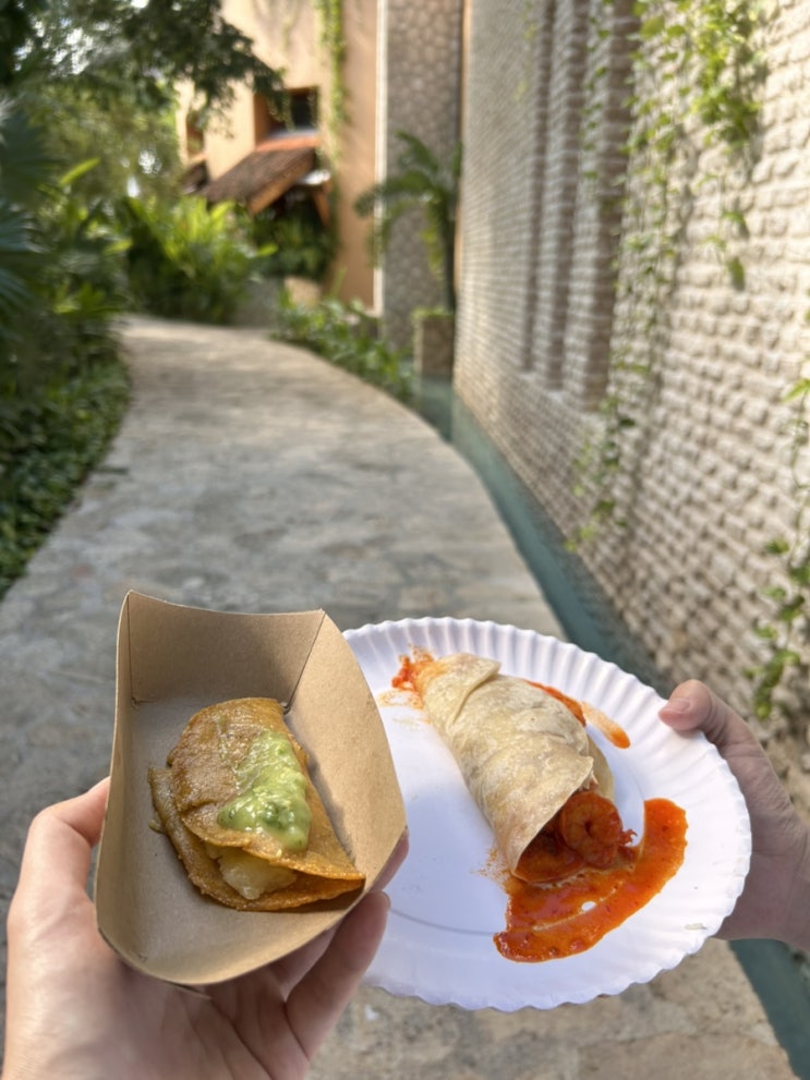  [칸쿤 신혼여행] 스칼렛아르떼 스트릿푸드 타코 과일 푸드트럭 팜투어