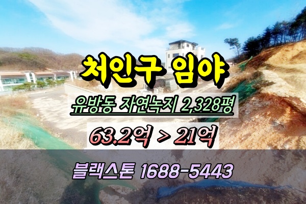  용인 처인구 임야경매 유방동 2천평대 개발부지