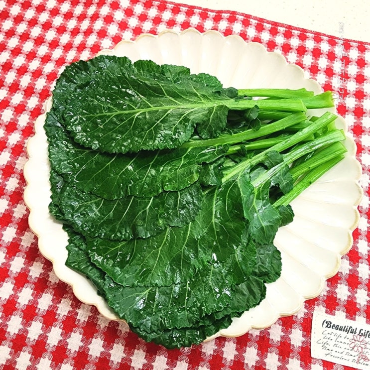  찜기로 케일찌는시간 방법 케일영양성분