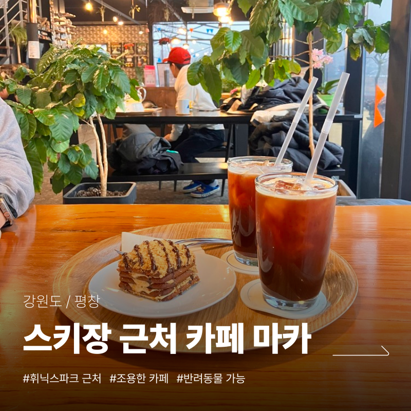 카페마카