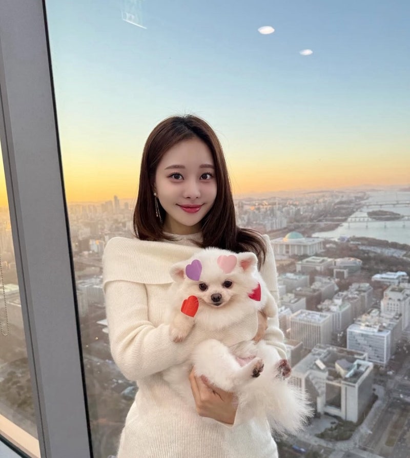 아옳이 66억 집 어디? 인스타 이혼 후 삼성동 아이파크 실거주