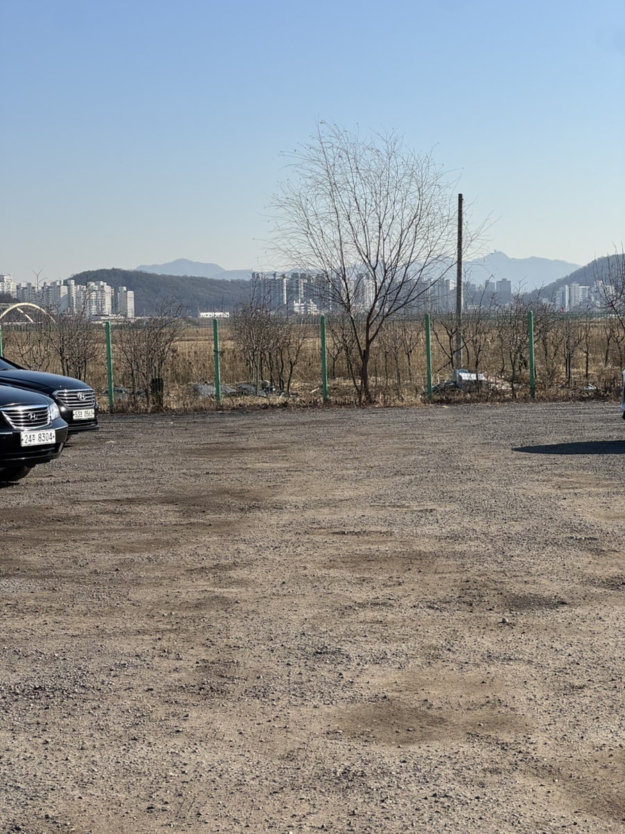 레인바우애견카페 사진 5