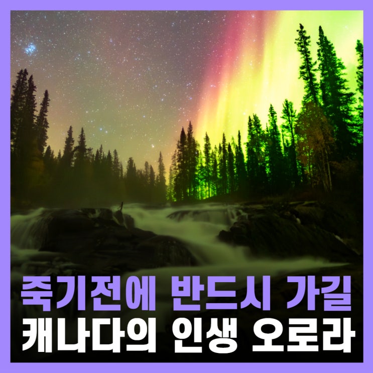  캐나다 자유여행 이심 옐로나이프 오로라 투어