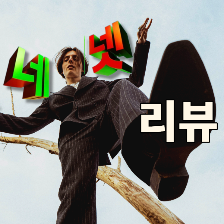 네넷 내돈내산 찐후기｜넷플 광고형 스탠다드 실사용 리뷰(광고 몇 번? 오프라인 저장 가능?)
