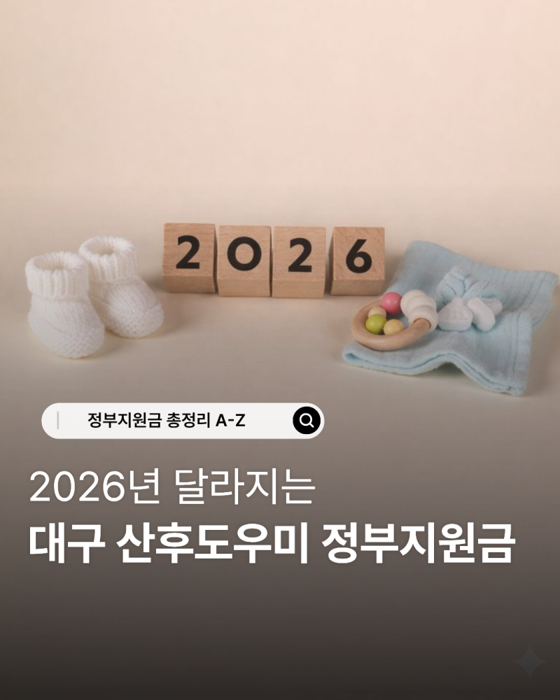 2026년 달라지는 대구 산후도우미 정부지원금 총정리 A-Z
