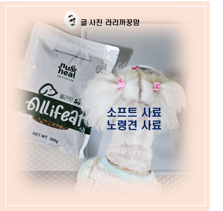  치아 약한 아이도 낼름! 노령견 사료, 소프트 사료 정착기