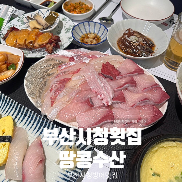  부산시청횟집 땅콩수산 밑반찬까지 다 맛있는 싱싱한 방어 맛집