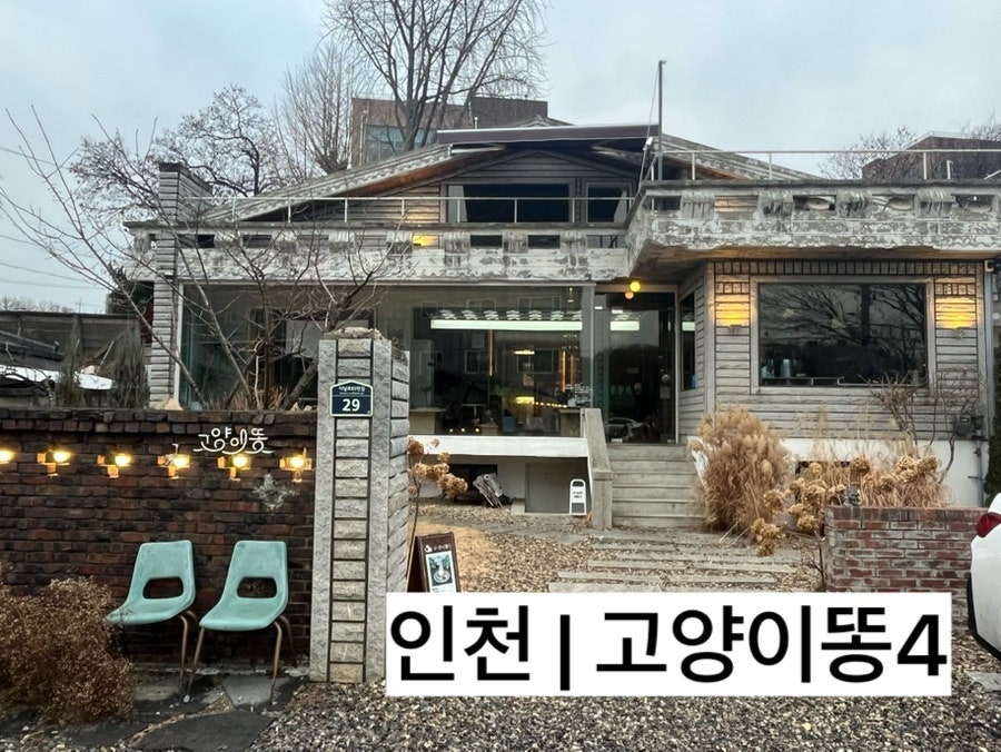 고양이똥4 사진 1