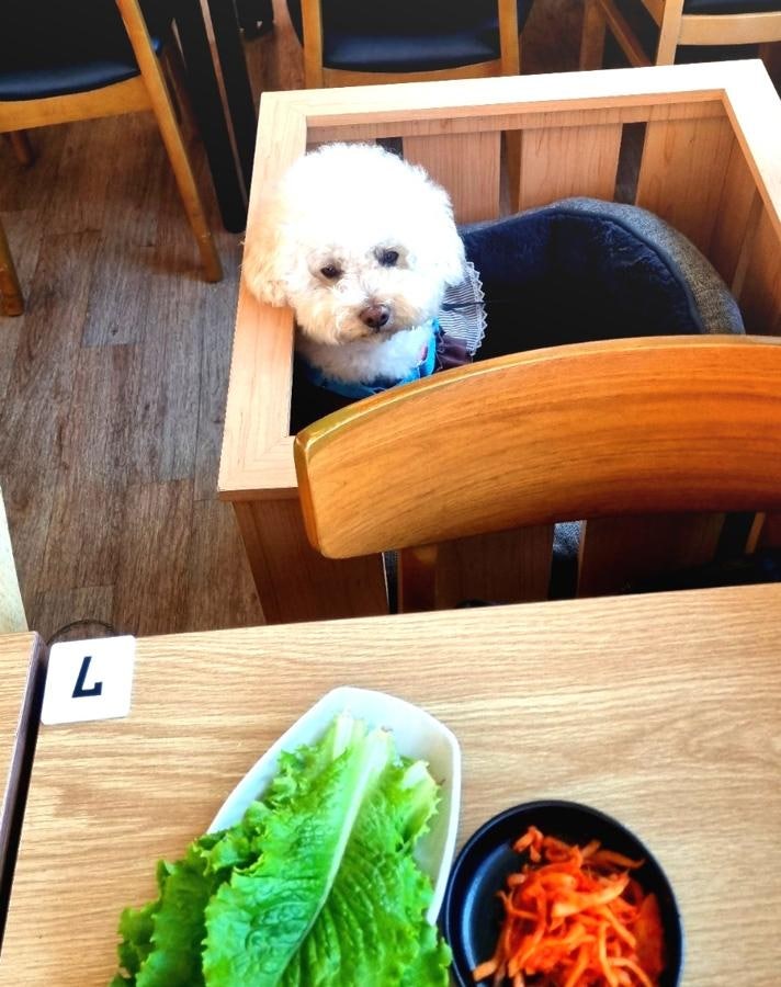 커피풍경 사진 6