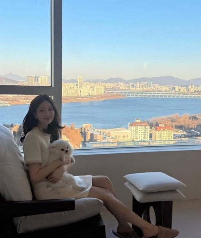 아옳이 , 전현무 집ㅣ연예인 아파트 강남 삼성동 아이파크 시세, 위치, 평수, 매매가, 전세가,....