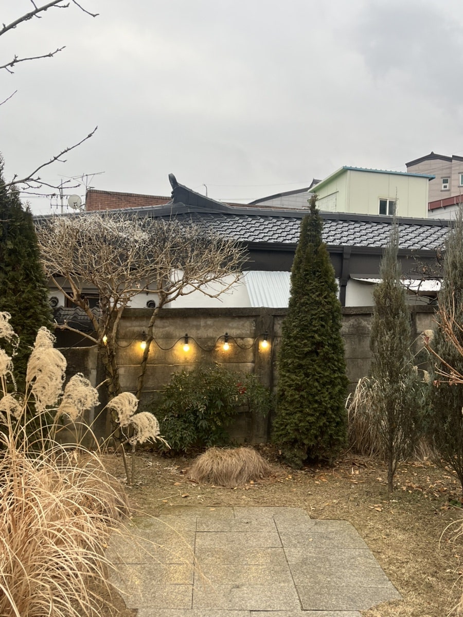 고양이똥4 사진 3