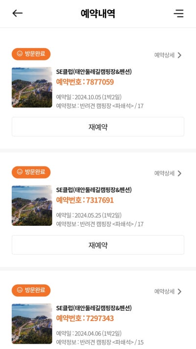 사진 10