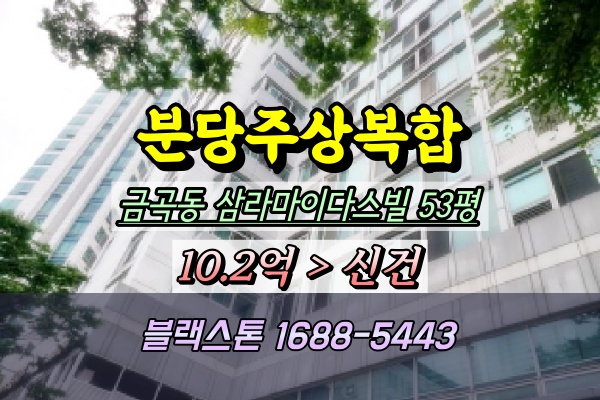  분당구 금곡동 삼라마이다스빌 주상복합아파트 경매 53평